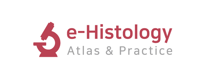 e-Histology