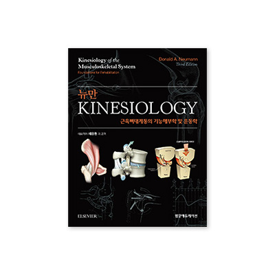 뉴만 Kinesiology 근육뼈대계통의 기능해부학및운동학
